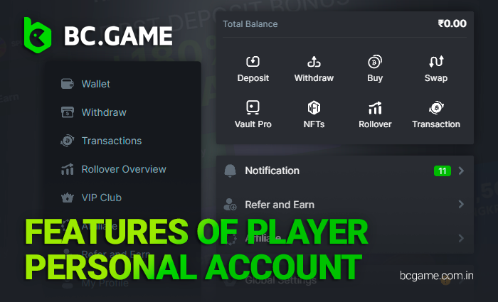 Features of Player personal account at BC Game